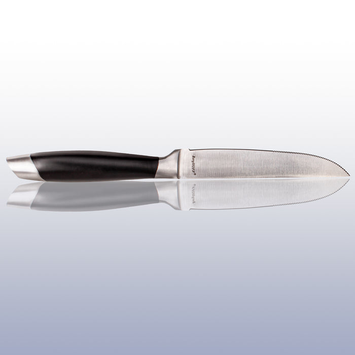 Image 4 of Shopberghoff Geminis 12" Stainless Steel Steak Knife, Set of 6