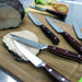 Image 7 of Pakka Wood 7pc Stainless Steel Steak & Carving Knife Set