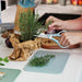 Shopberghoff Slate & Sage Stainless Steel Scissors 8.25" Image5